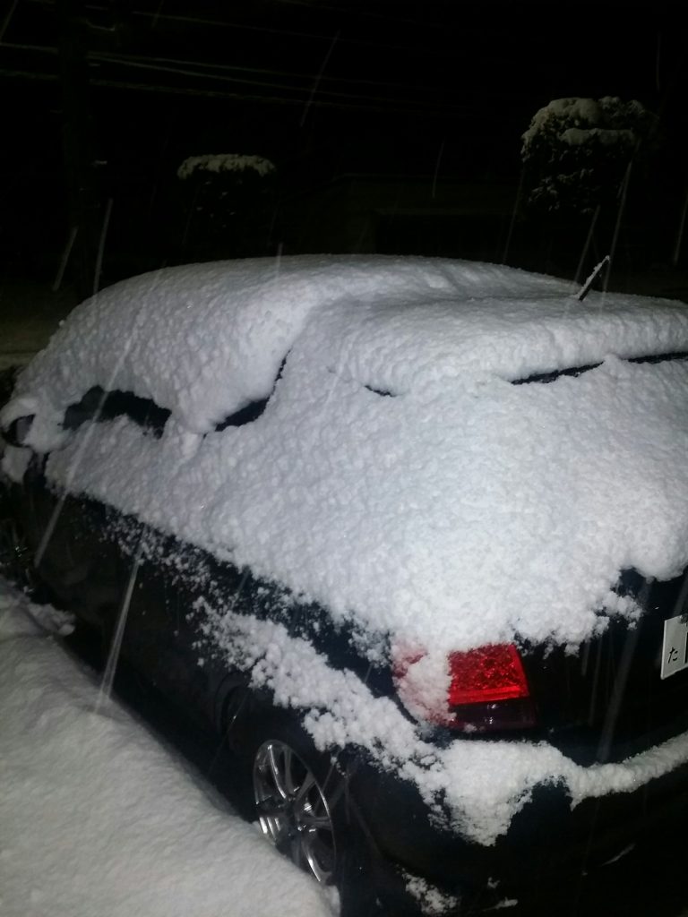 雪が積もった車